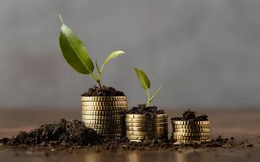 Opciones reales para levantar capital semilla en México: guía paso a paso