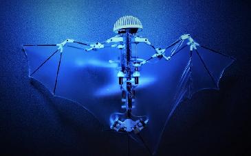 Drones inspirados en murciélagos podrían revolucionar las misiones de rescate en condiciones extremas