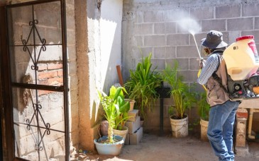 Sonora mantiene jornadas contra el dengue en Villa Pesqueira