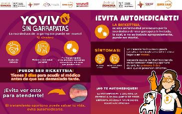 Refuerza SSP medidas para prevenir la rickettsiosis ante alza de garrapatas en temporada de calor