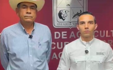 Sonora activa protocolo sanitario tras detectar primer caso de gusano barrenador del ganado en Álamos