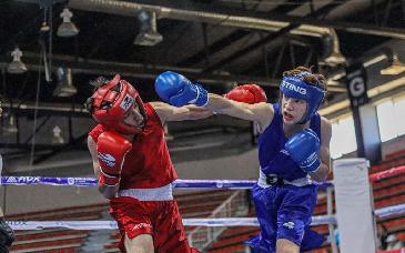 Sonora mete 16 finalistas en regional de boxeo y asegura pase a Olimpiada Nacional