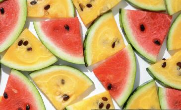 Duelo de frescura: sandías potentes<b></b>