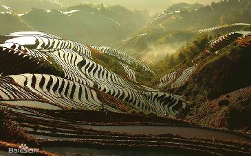 China y EU acuerdan ampliar comercio agrícola con reducción de aranceles