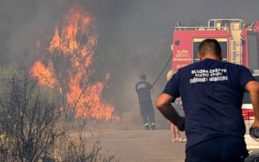 Incendios forestales azotan Bélgica, Grecia y Francia en medio de un verano extremo