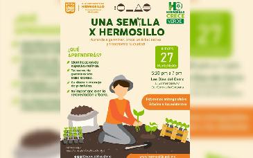 Invita Gobierno de Hermosillo a Taller “Una Semilla X Hermosillo”