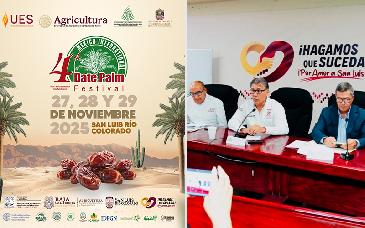 Anuncian en Sonora el 4to Festival Internacional de la Palma Datilera en San Luis Río Colorado