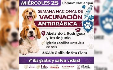 Arranca campaña de vacunación antirrábica en Sonora