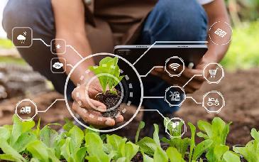 El futuro del campo: innovación y agricultura regenerativa para enfrentar la crisis climática y alimentaria