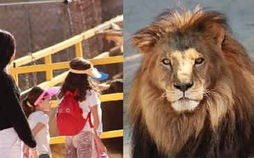 Centro Ecológico de Sonora ajusta operación durante periodo vacacional de fin de año