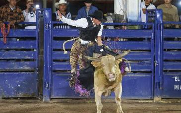 Sonora celebra con éxito la cuarta edición del Circuito de Rodeo 2025