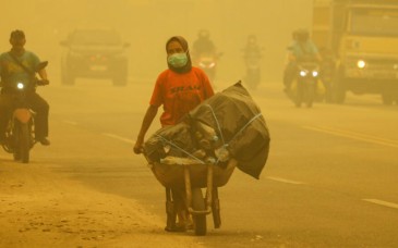 La contaminación por los incendios mató a 3 mil 560 personas en Indonesia en septiembre