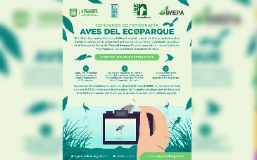 Invitan a participar en concurso de fotografía “Aves del Ecoparque” en Hermosillo