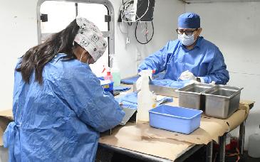 Hermosillo alcanza más de 17 mil esterilizaciones en 2025 y se posiciona como segundo lugar nacional