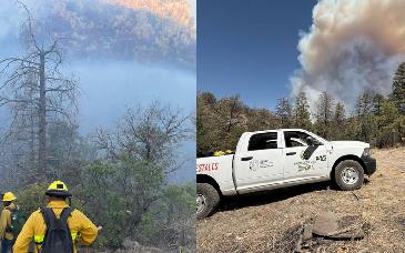 Controlan 80 % de incendio forestal en La Virgen, Agua Prieta; llaman a prevenir nuevos siniestros