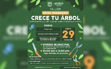 Realizará Gobierno de Hermosillo Taller “Crece Tu Árbol” nivel avanzando este sábado 29