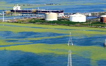 Venezuela denuncia que EU usaría “fuerza militar total” para apoderarse de su petróleo